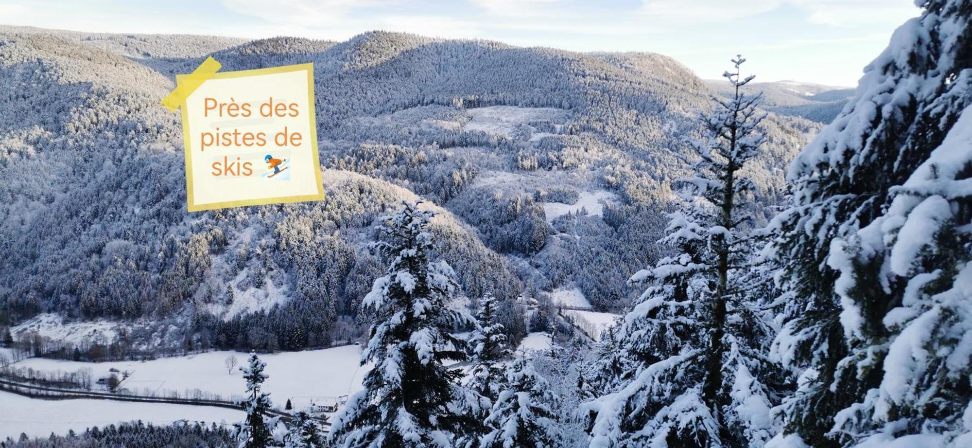 Gite Le Clos Des Vosges Ban-sur-Meurthe-Clefcy エクステリア 写真