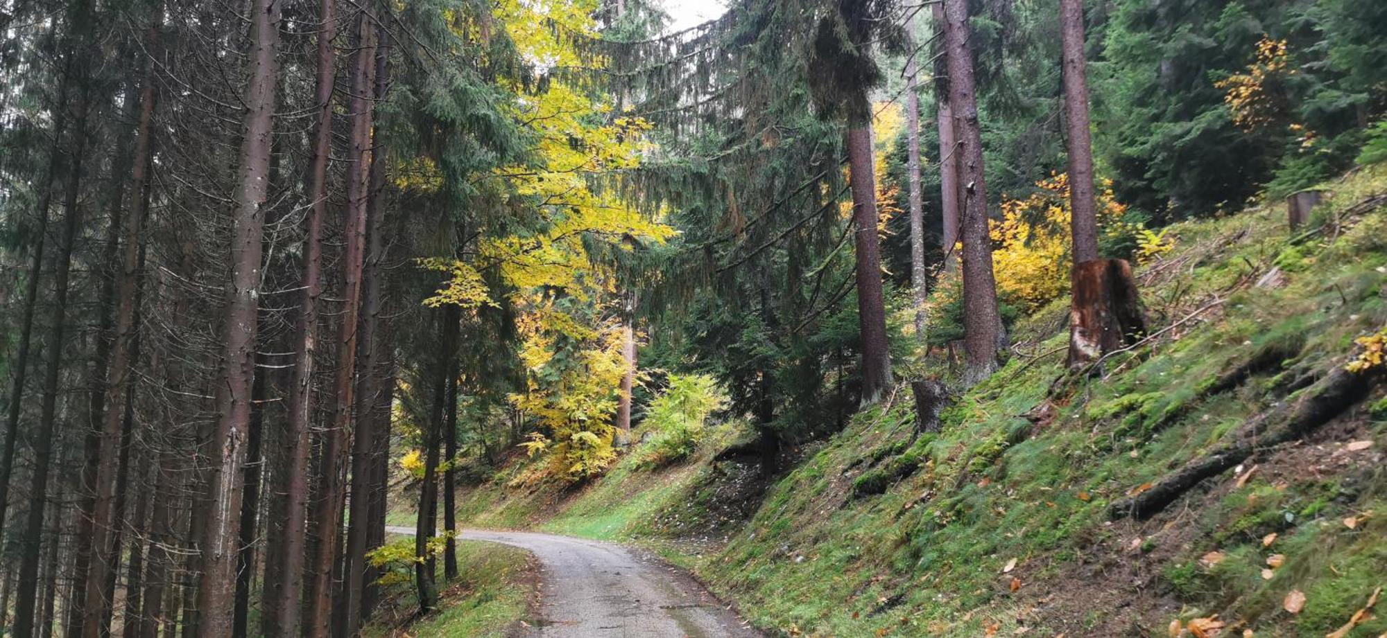 Gite Le Clos Des Vosges Ban-sur-Meurthe-Clefcy 部屋 写真